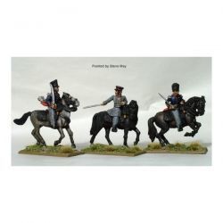 Mounted field officers