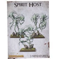 Spirit Hosts