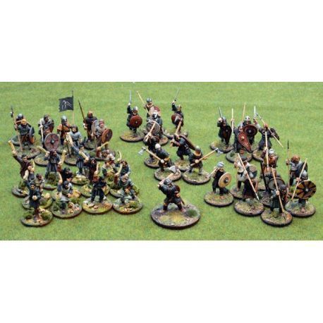 Anglo-Danish Warband (6 points)