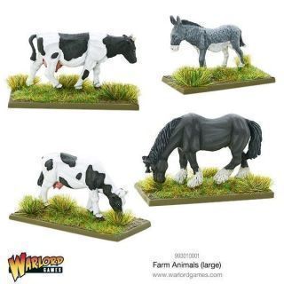 Large Farm Animals