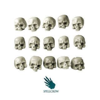 Human Skulls