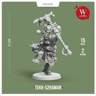Tekk-Szhaman of Iron Horde