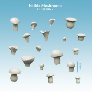 Edible Mushrooms