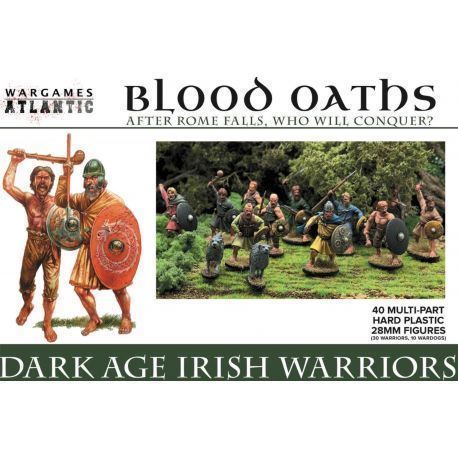 Dark Age Irish Warriors