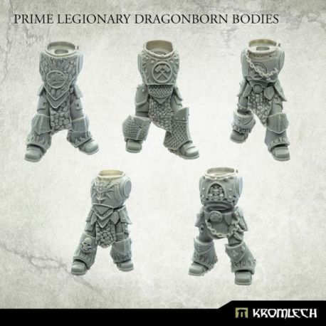 Dragonborn Prime Bodies (5)