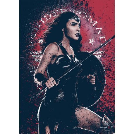 Wonder Woman metal poster designed by DC Comics