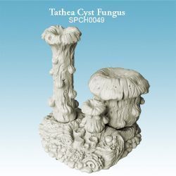Tathea Cyst Fungus