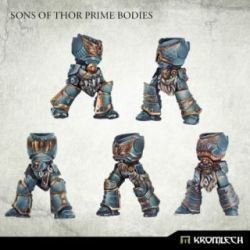 Sons of Thor Prime Bodies