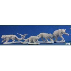 Companion Animals