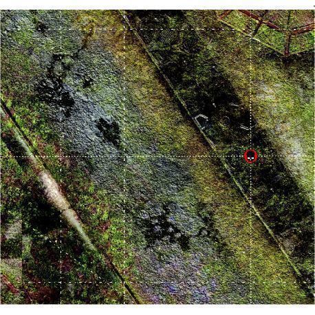 KT Mat Imperial City Jungle -3- 22'x30' with Deployment Zones