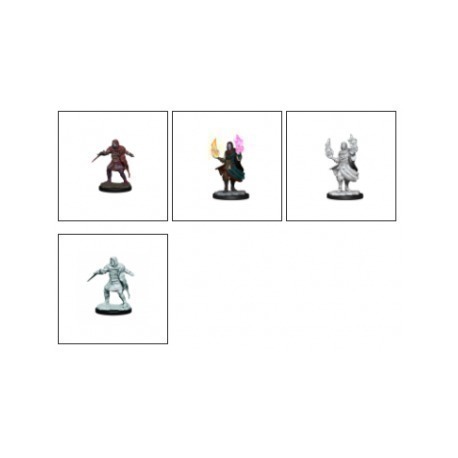 Critical Role Unpainted Miniatures: Hollow One Rogue and Sorceror Male  (2 Units)