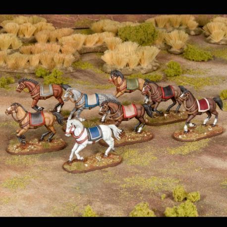 General Accoutrements - Horses - EN
