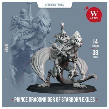 Prince Dragonrider of Starborn Exiles