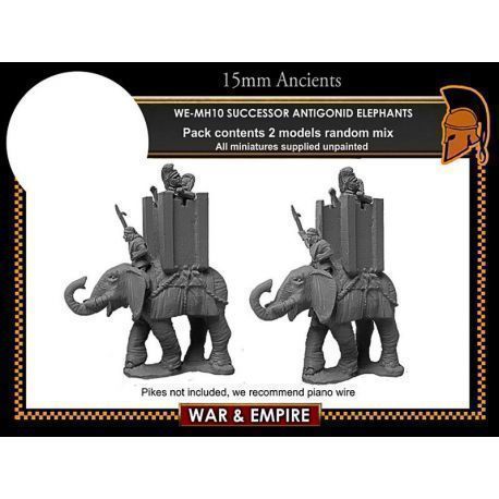 Successor/Antigonid Elephants