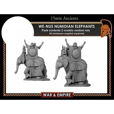 Numidian Elephants