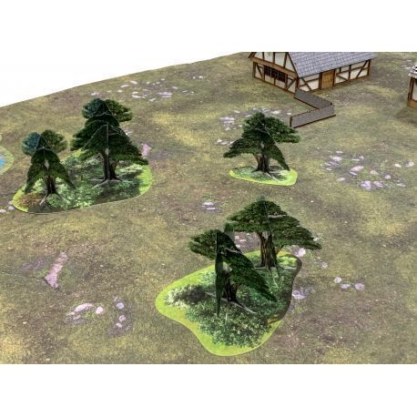 Medieva/ Fantasy  Wargames Terrain Pack