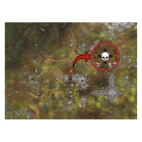 War Fields CONQUER 44"X60" WITH DEPLOYMENT ZONES FOR AOS