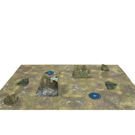 Forest Matched Play Set for Aos